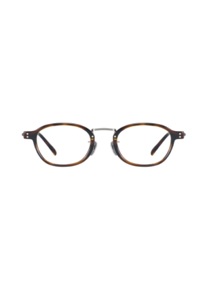 caio-havana-tortoise